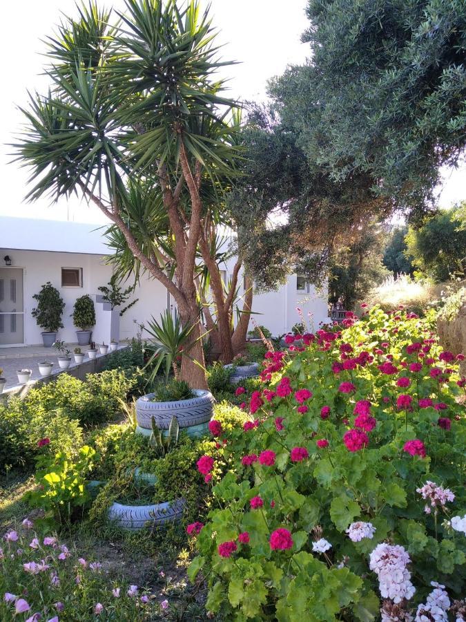 Golden Sun Apartments روداكينو المظهر الخارجي الصورة
