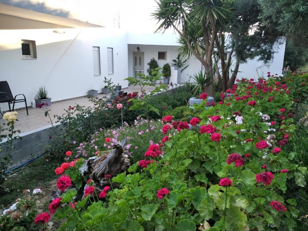Golden Sun Apartments روداكينو المظهر الخارجي الصورة